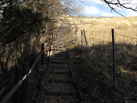 20160108hike (76)